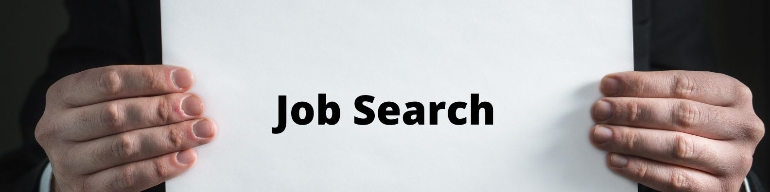 Job search 